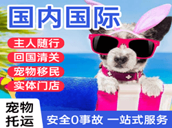 硕放机场货运国际宠物托运 【国